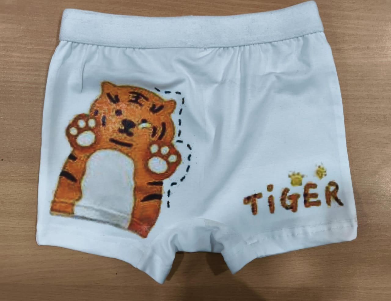 Breathable Baby Underpants Teenager Cartoon Print Children Panties (Pack of 5)